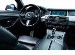 
										BMW Série 5- 520D XDRIVE M full									