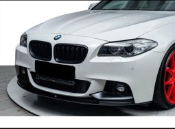 
										BMW Série 5- 520D XDRIVE M full									